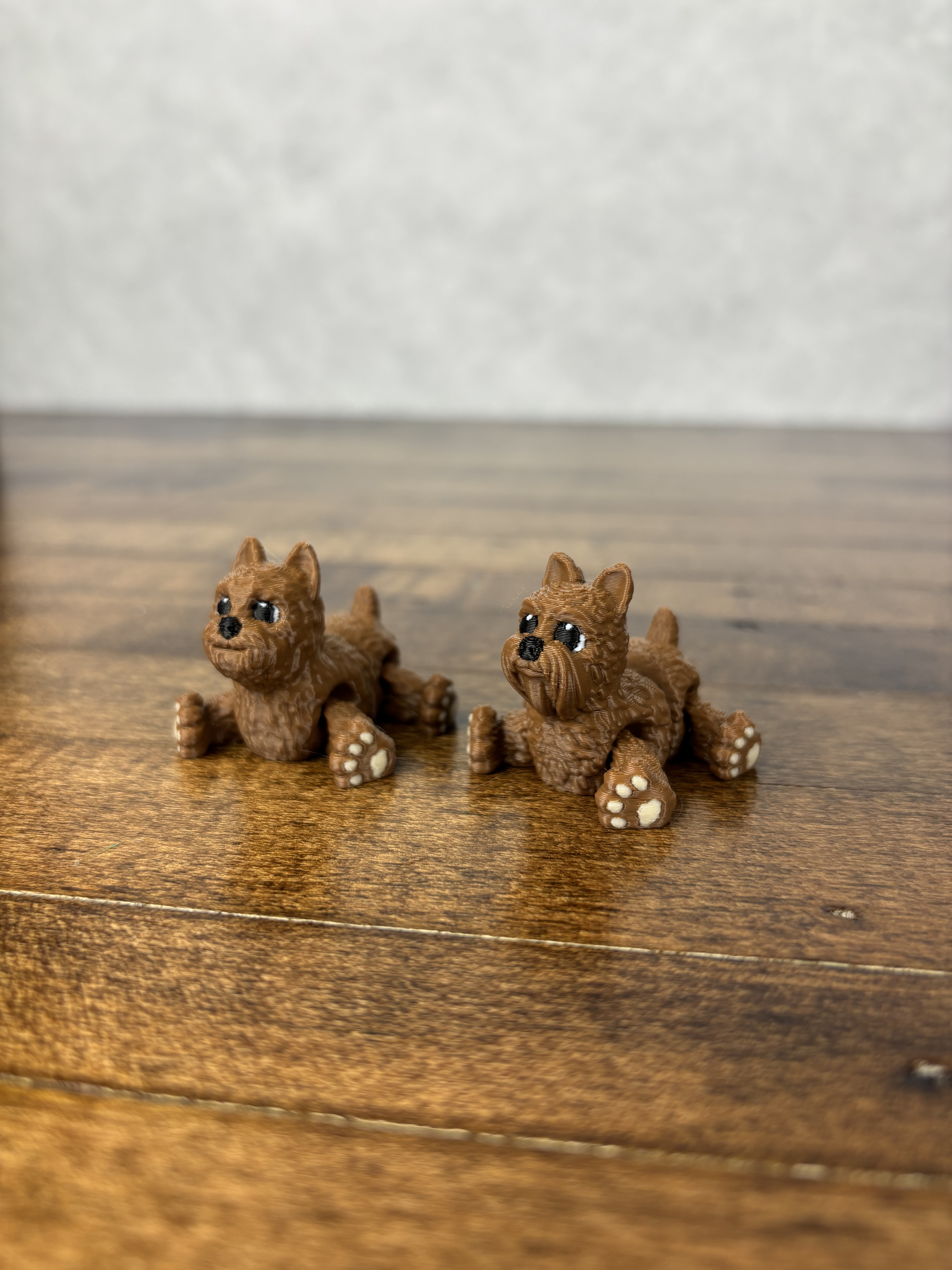 Yorkie Fidgets