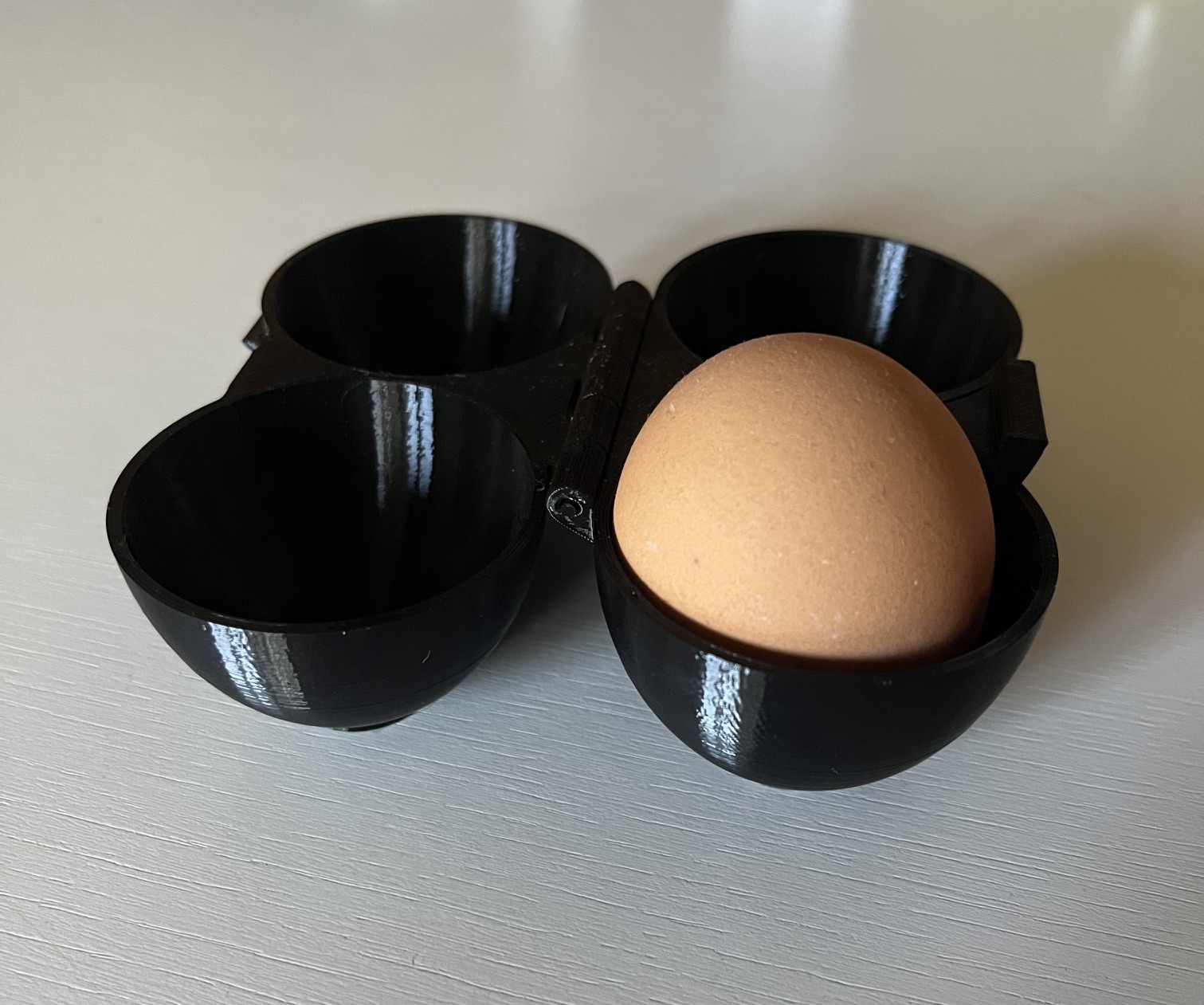 Double Egg Container