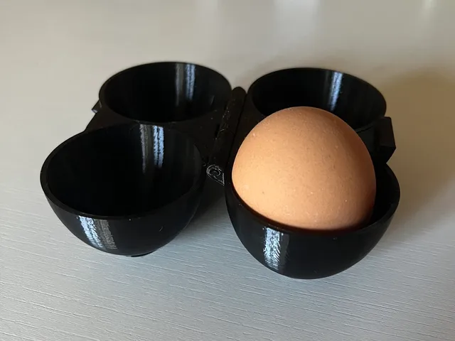Double Egg Container