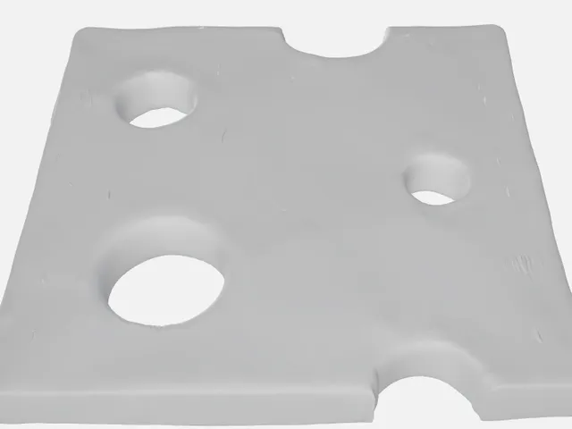 Cheese coaster