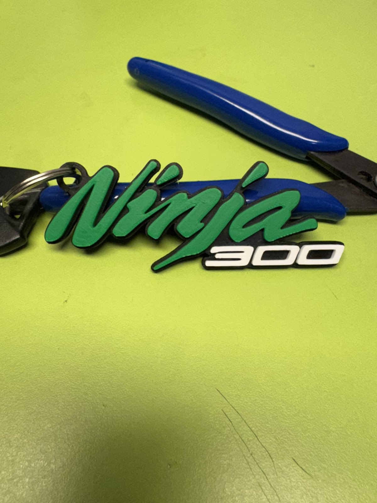 Kawasaki Ninja 300 keychain