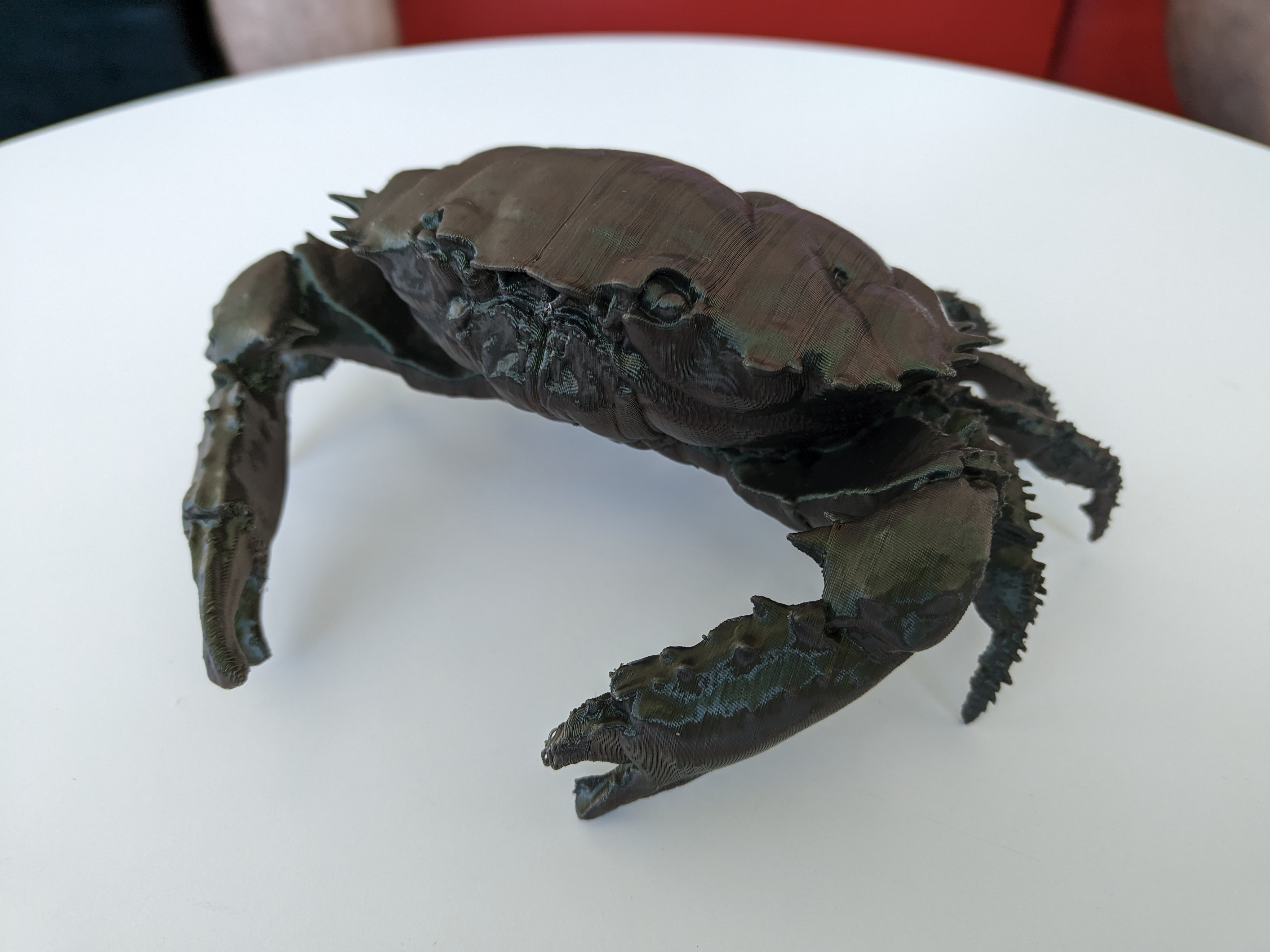 Sliced Dark Finger Reef Crab