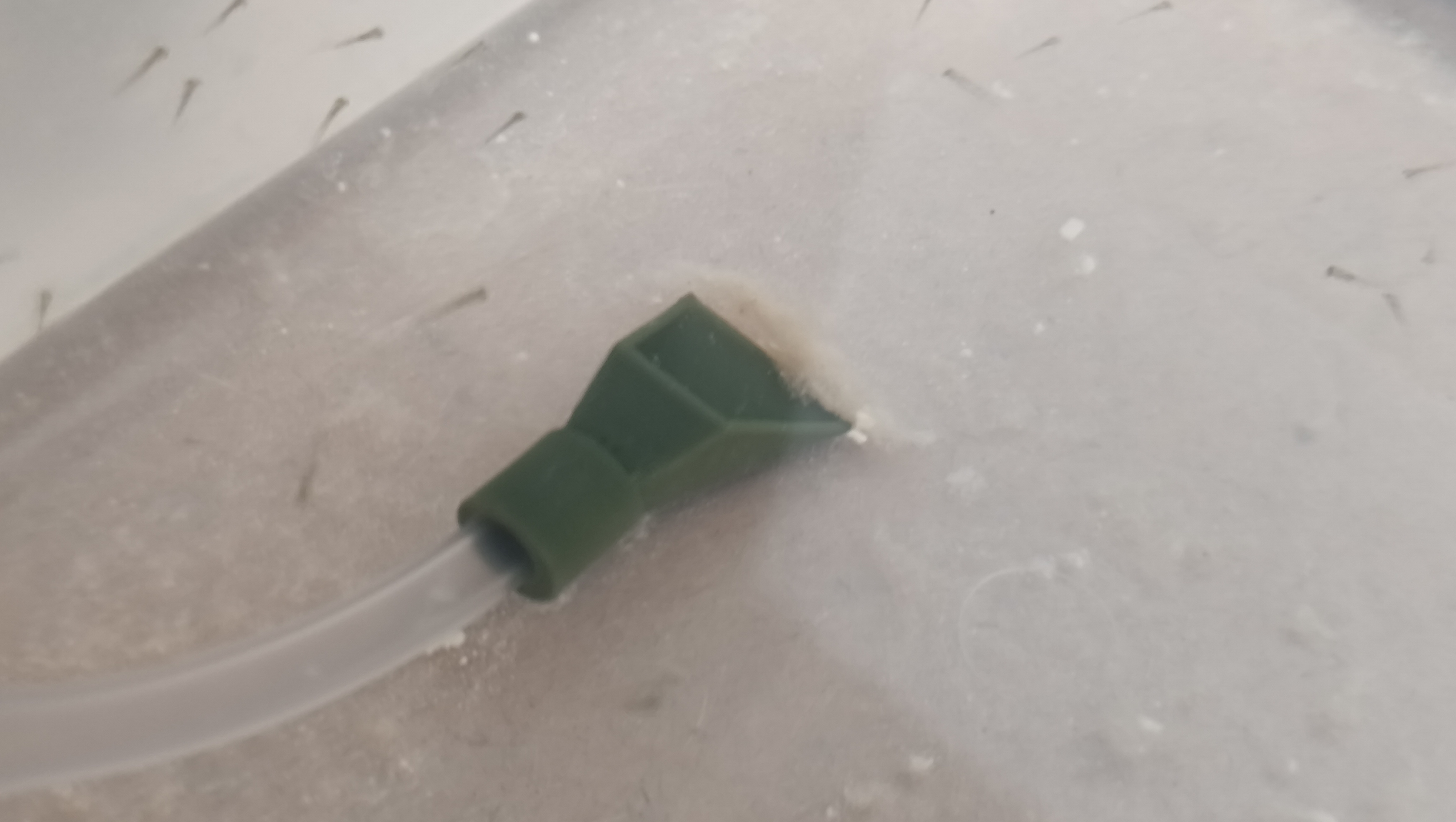 Waterchange mouthpiece