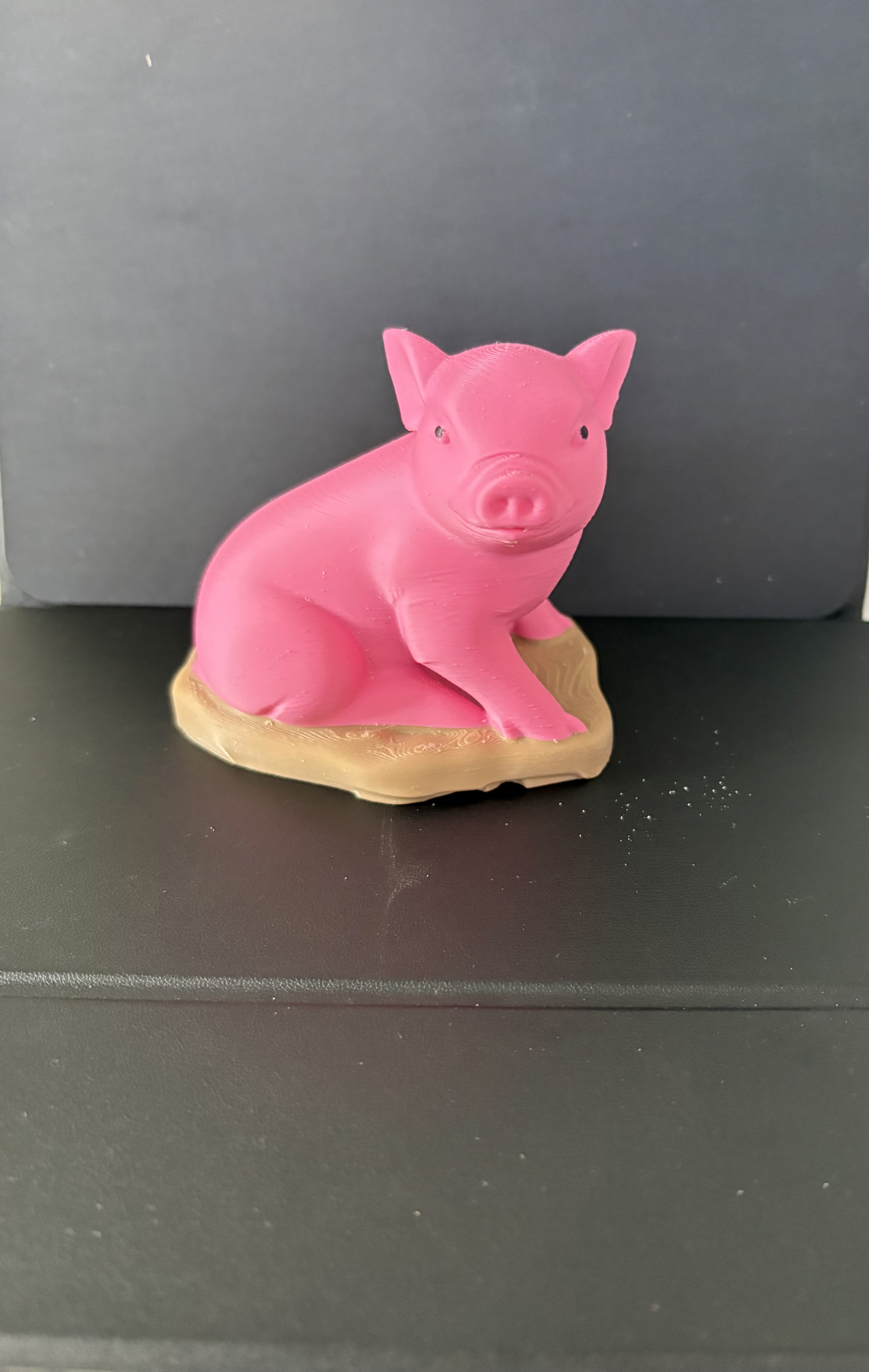 Pink Piggy