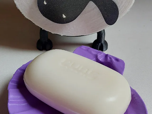 Seashell Soap Dish with Drain