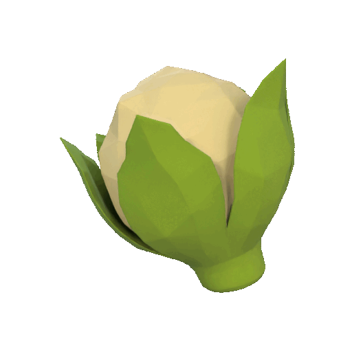 Miniatura 2 do modelo 3D Low Poly Cauliflower 3D Model