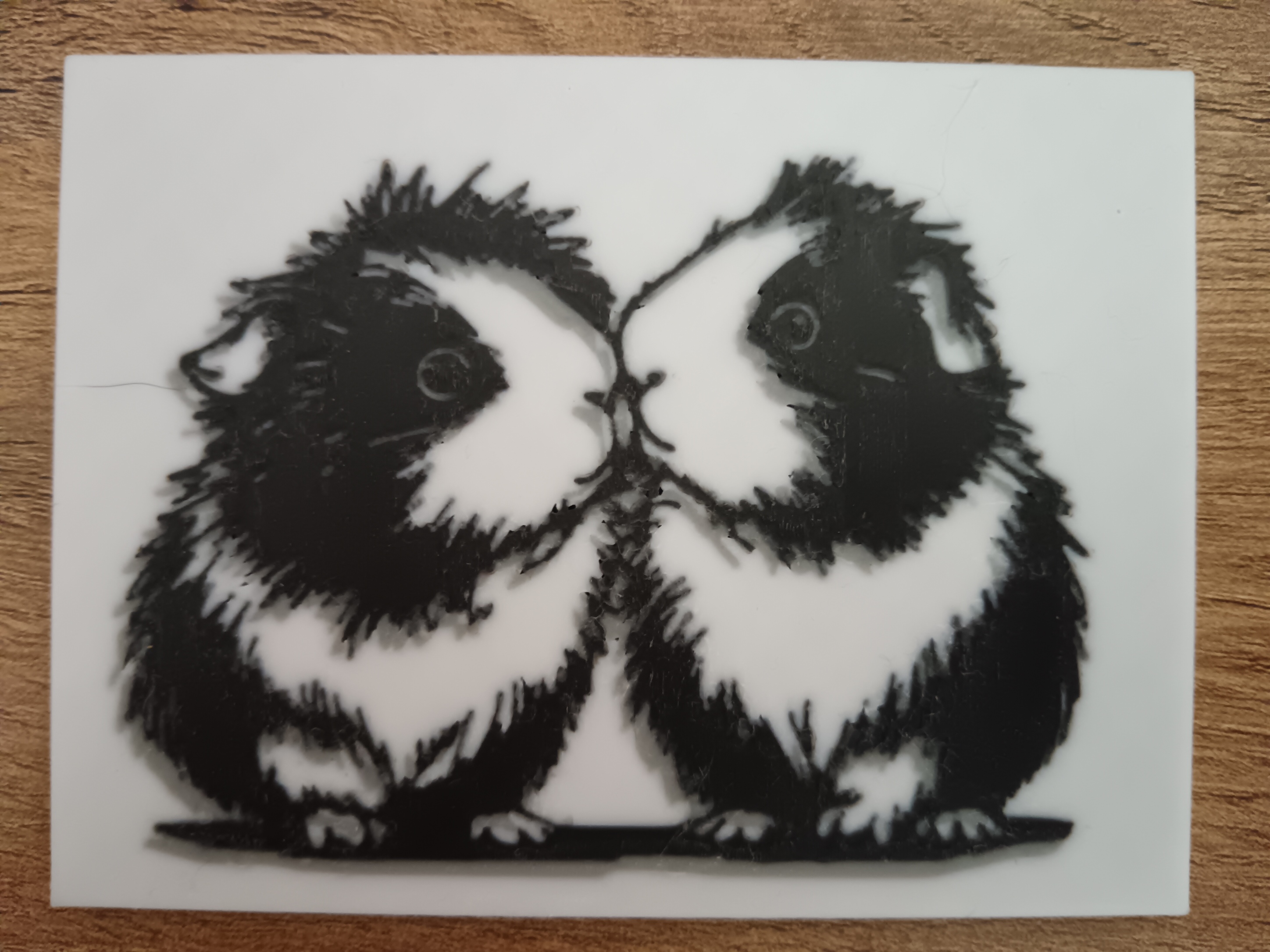 Hamsters (AMS needed) — thumbnail 2