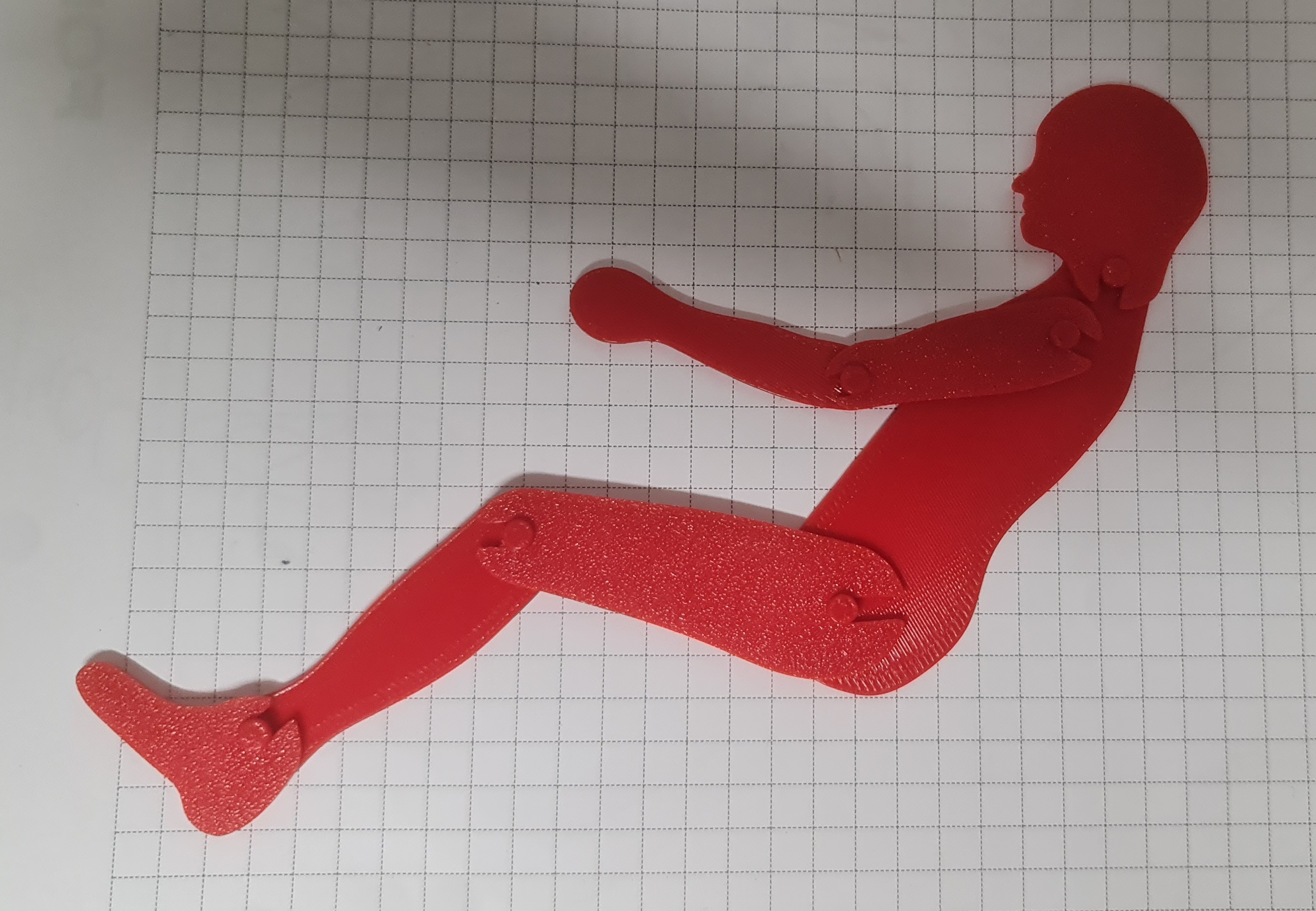 articulated 2D mannequin