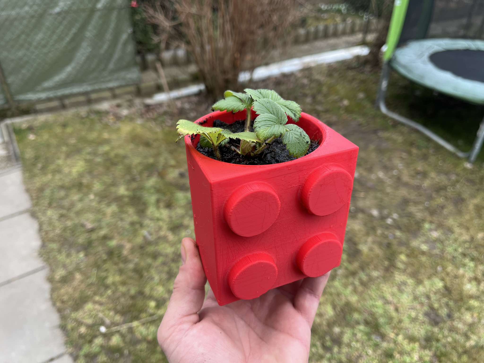 Block, Brick, LEGO Flowerpot, Vase