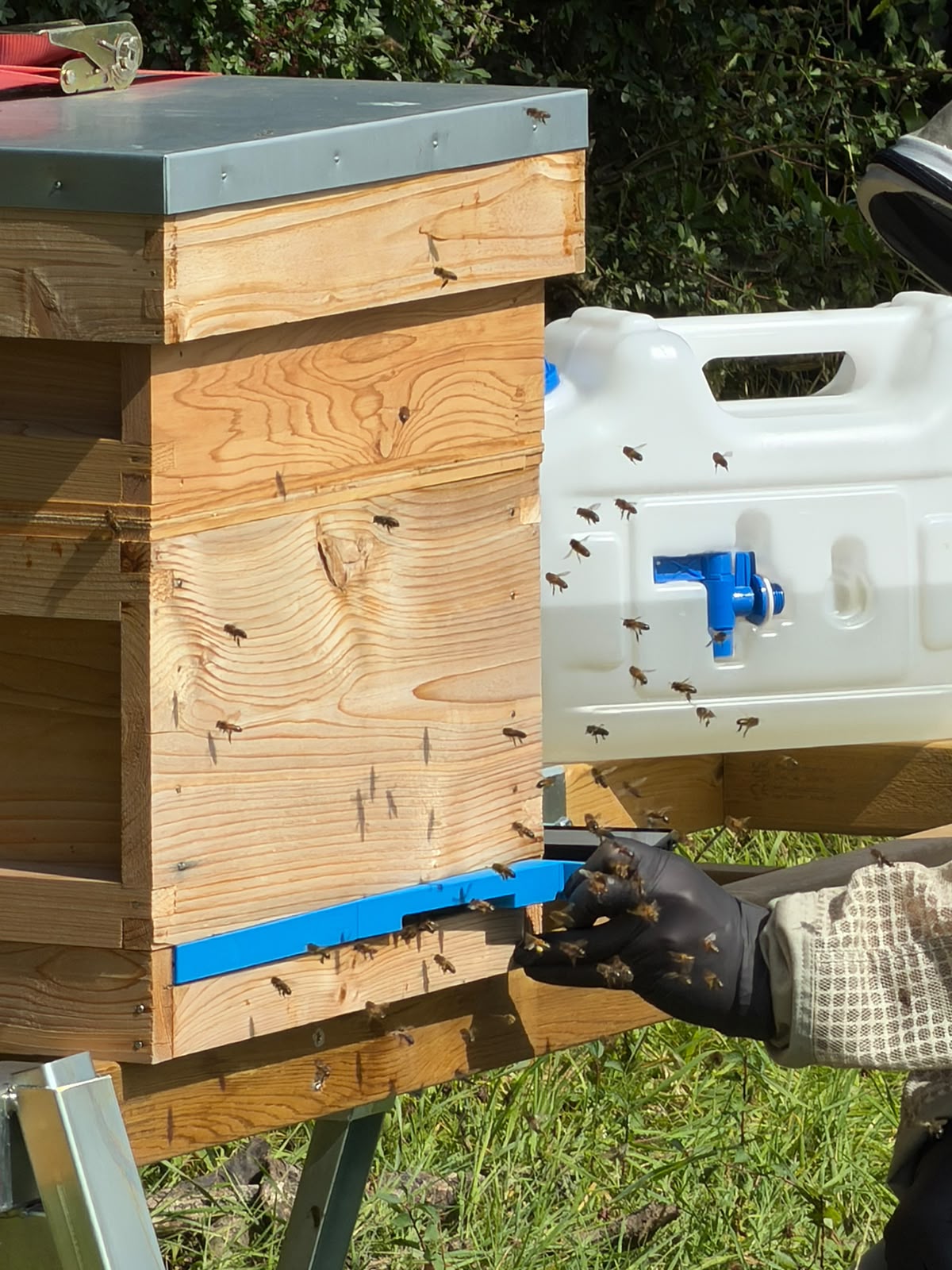 UK National Beehive Entrance Reducer/Block with Rotating Easy‑Out Tabs (Thorne Compatible)