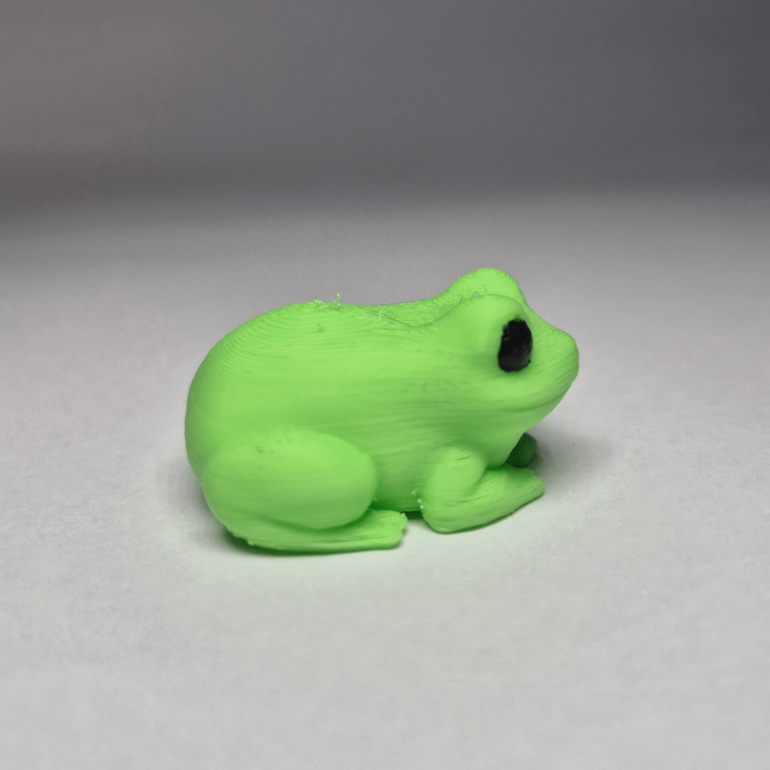Miniatura 8 do modelo 3D Mini Magnet Frogs!