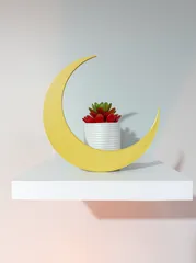 Floating Moon