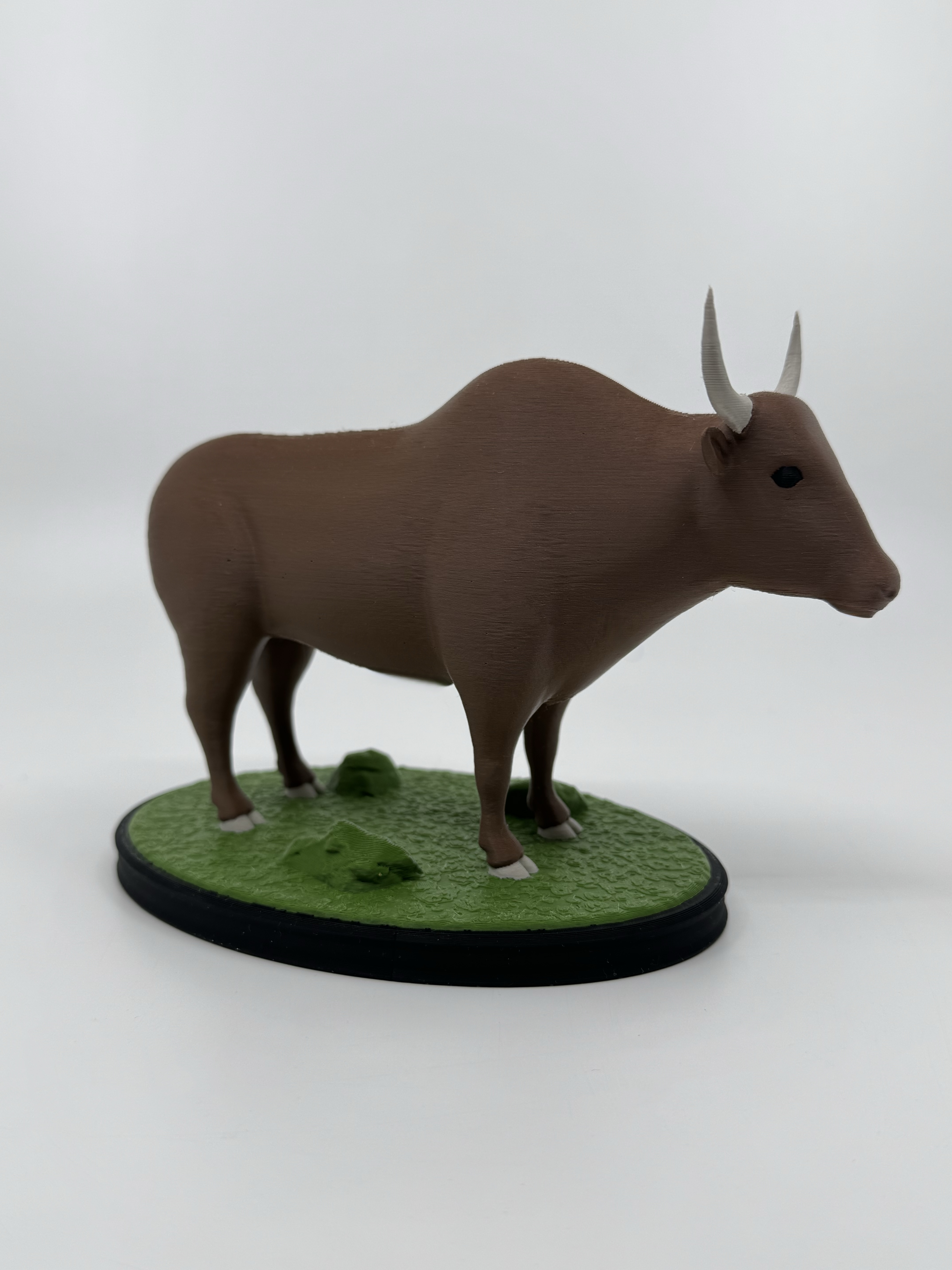 Bull