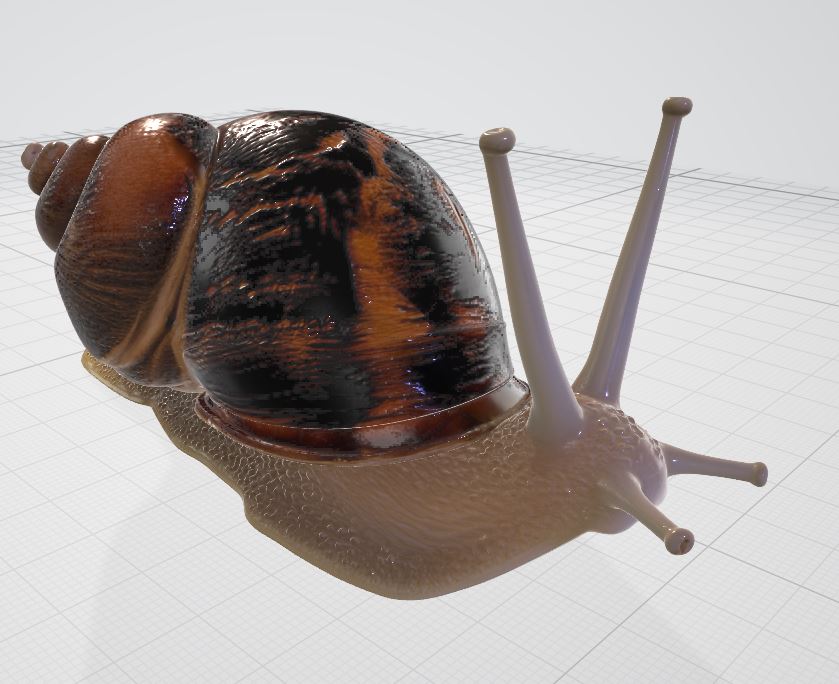Miniatura 5 do modelo 3D realistic snail