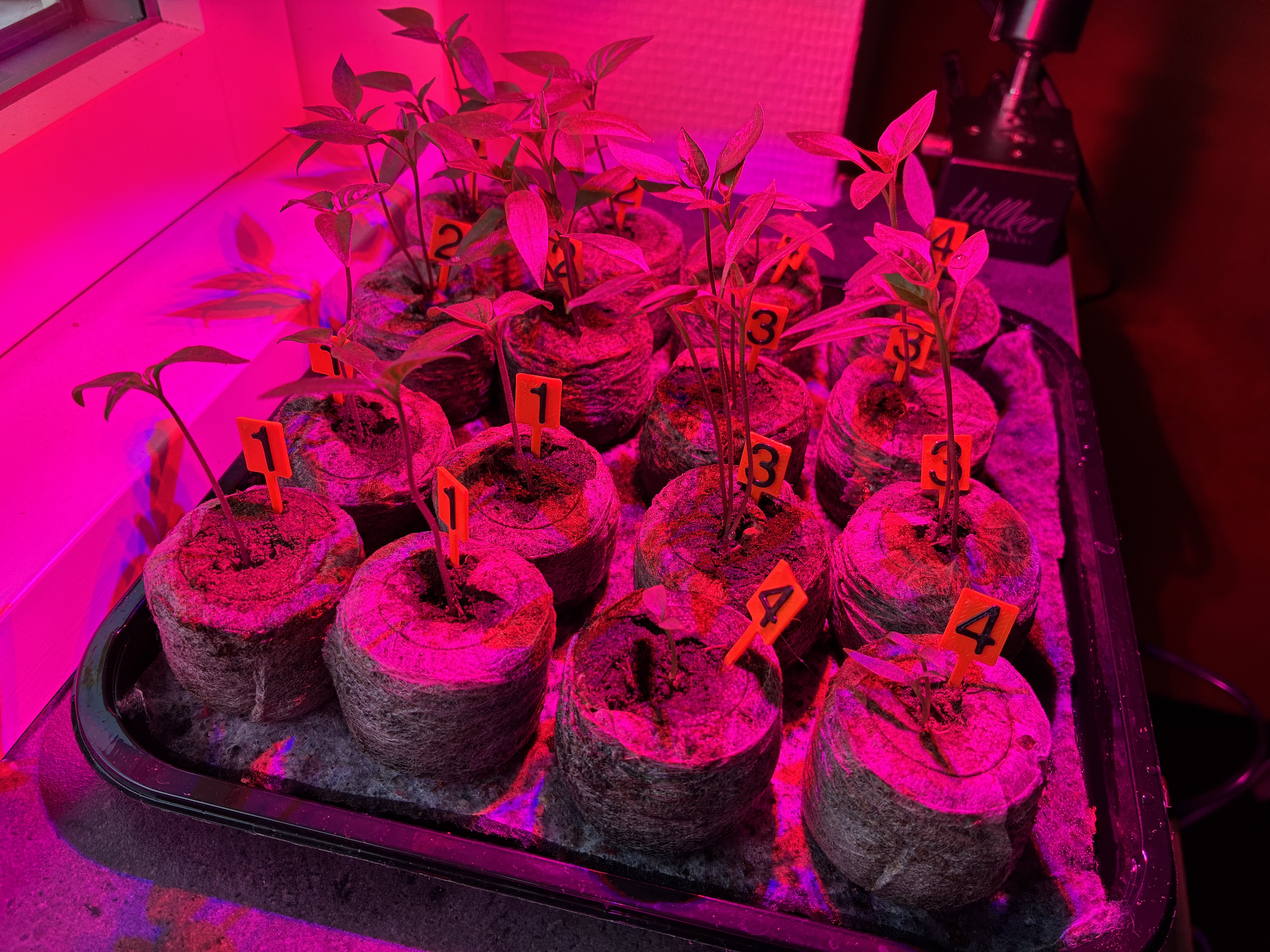 Small signs for small plants