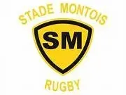 Stade Montois Rugby Logo Coaster or Plaque