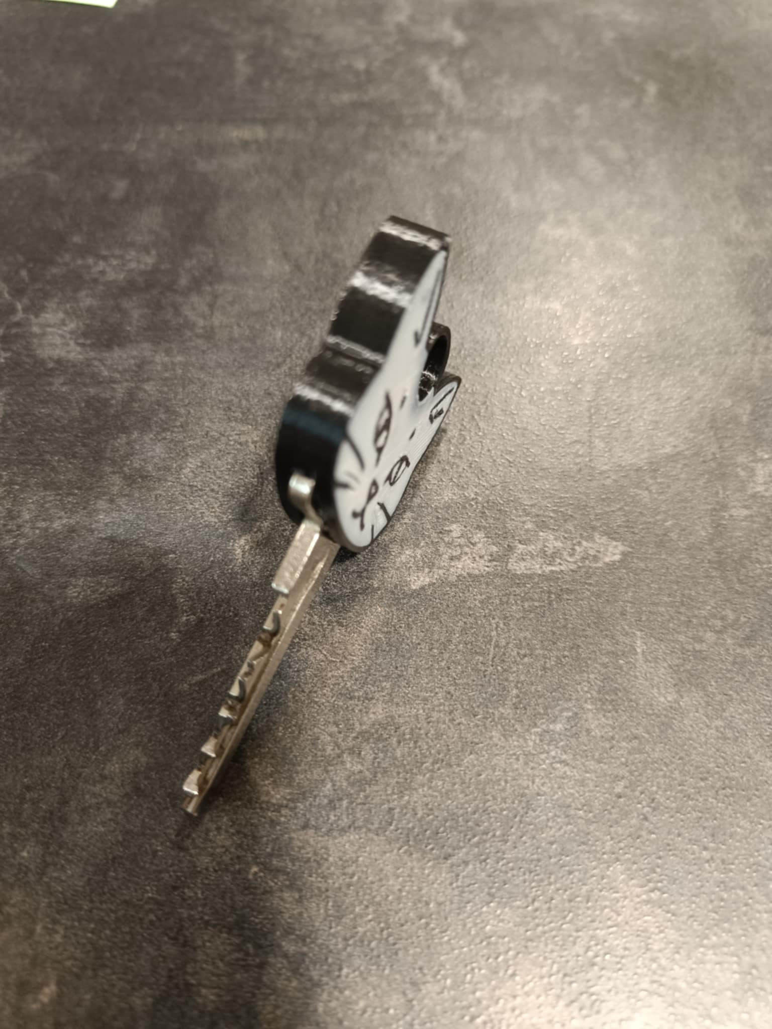 Key recognizer - CAT — miniatura 2