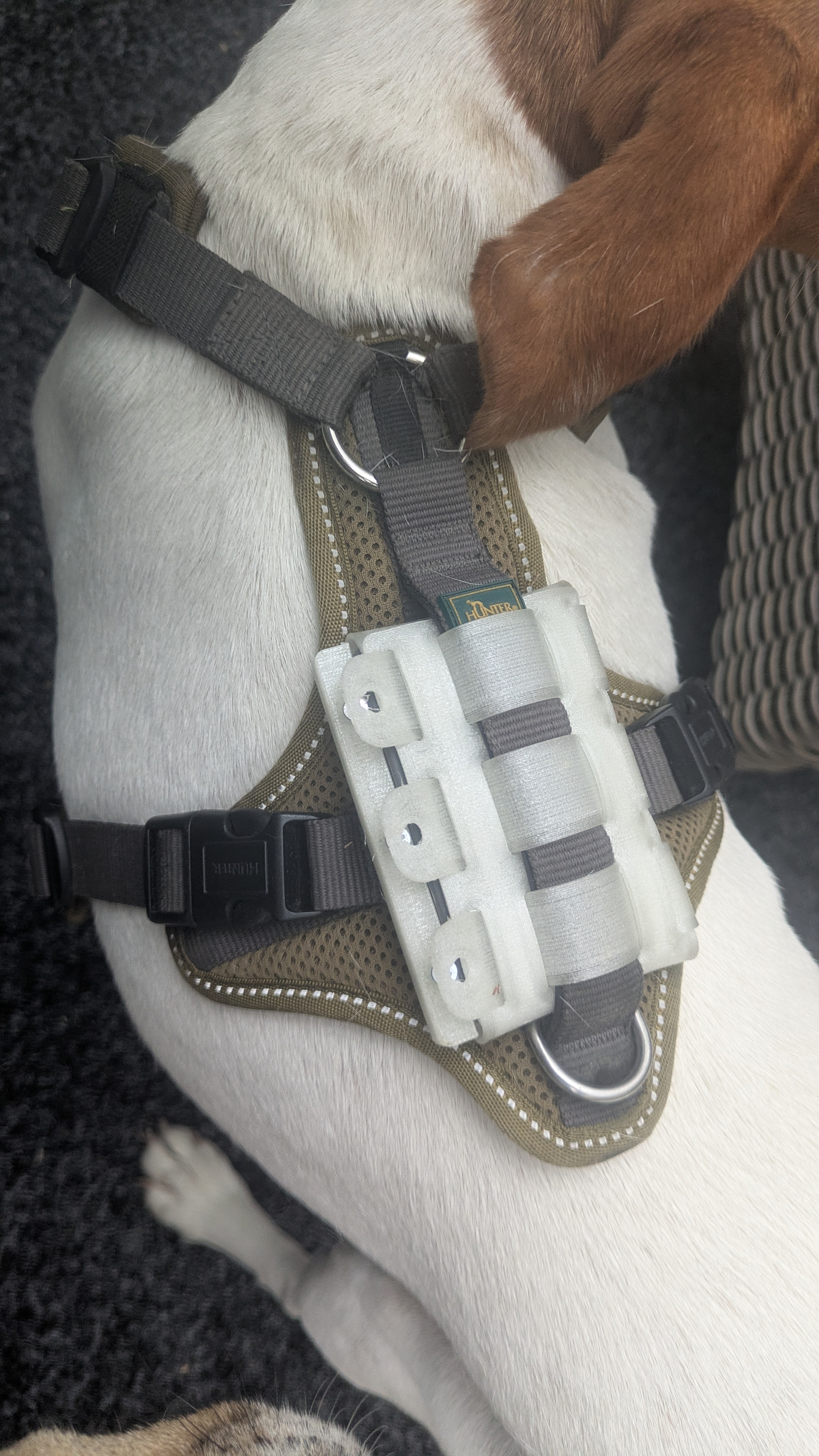 SenseCAP T1000-E Molle and 20mm Strap Mount Holster TPU Dog Tracker Case