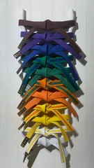 Modular Martial Arts Belt Holder