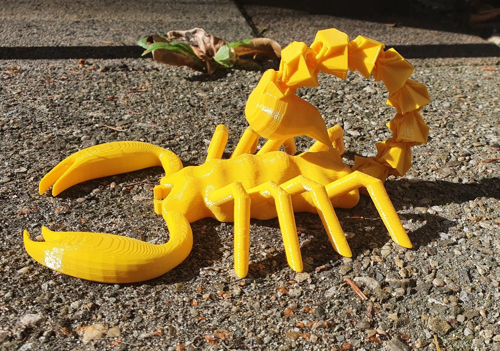 Articulated Scorpion