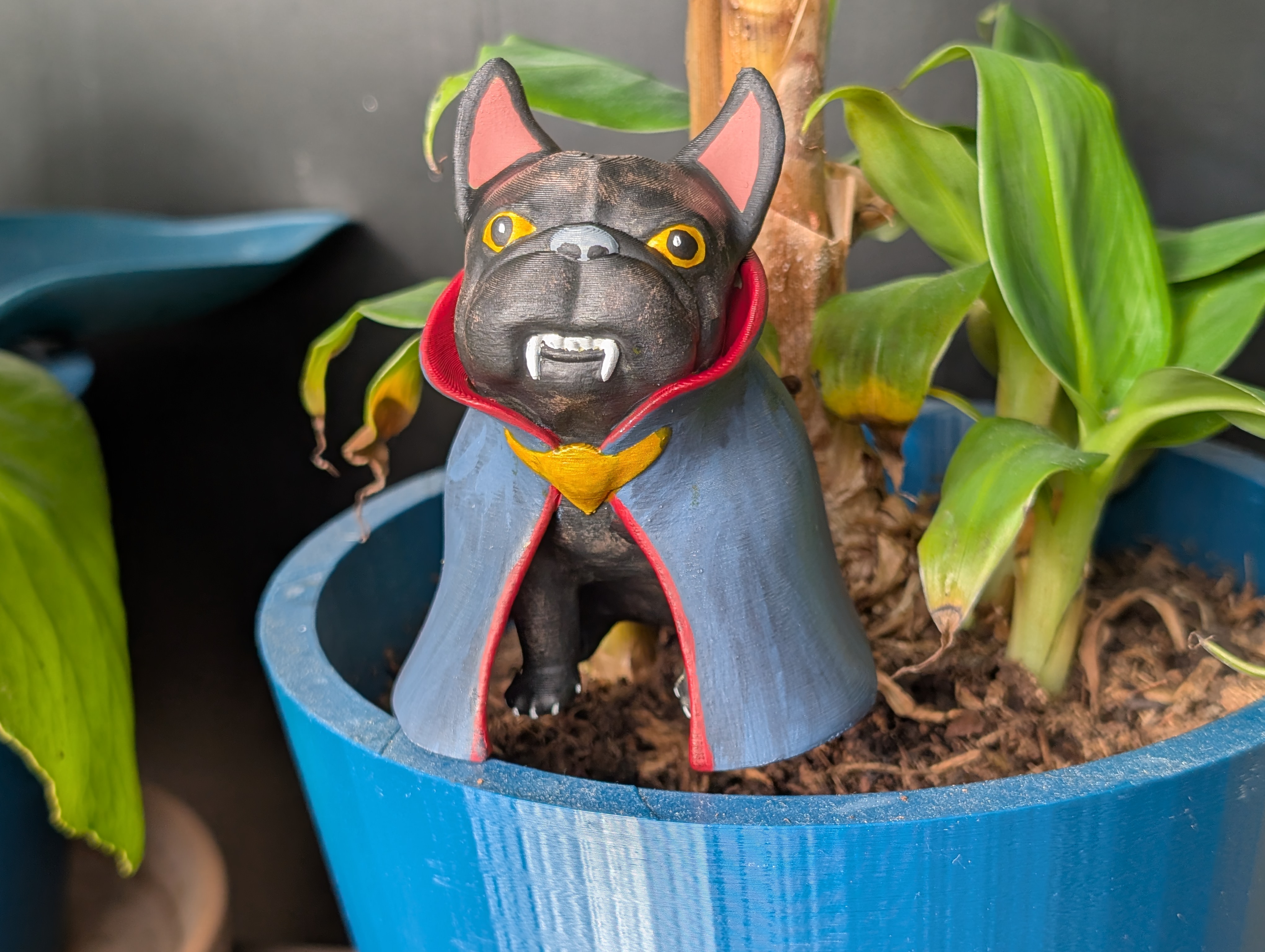 Vampire Frenchie — miniatura 5