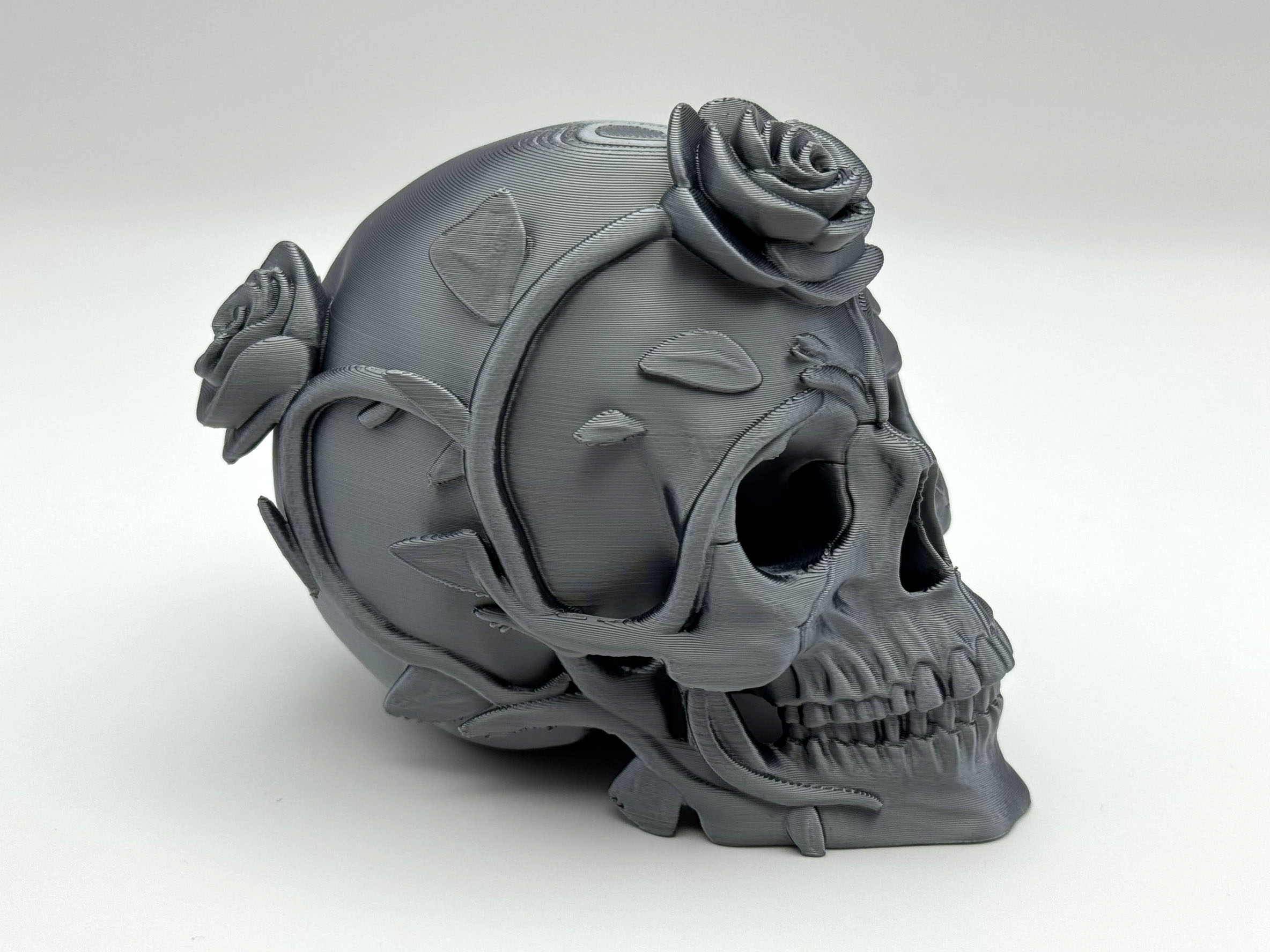 Rose Branch Skull