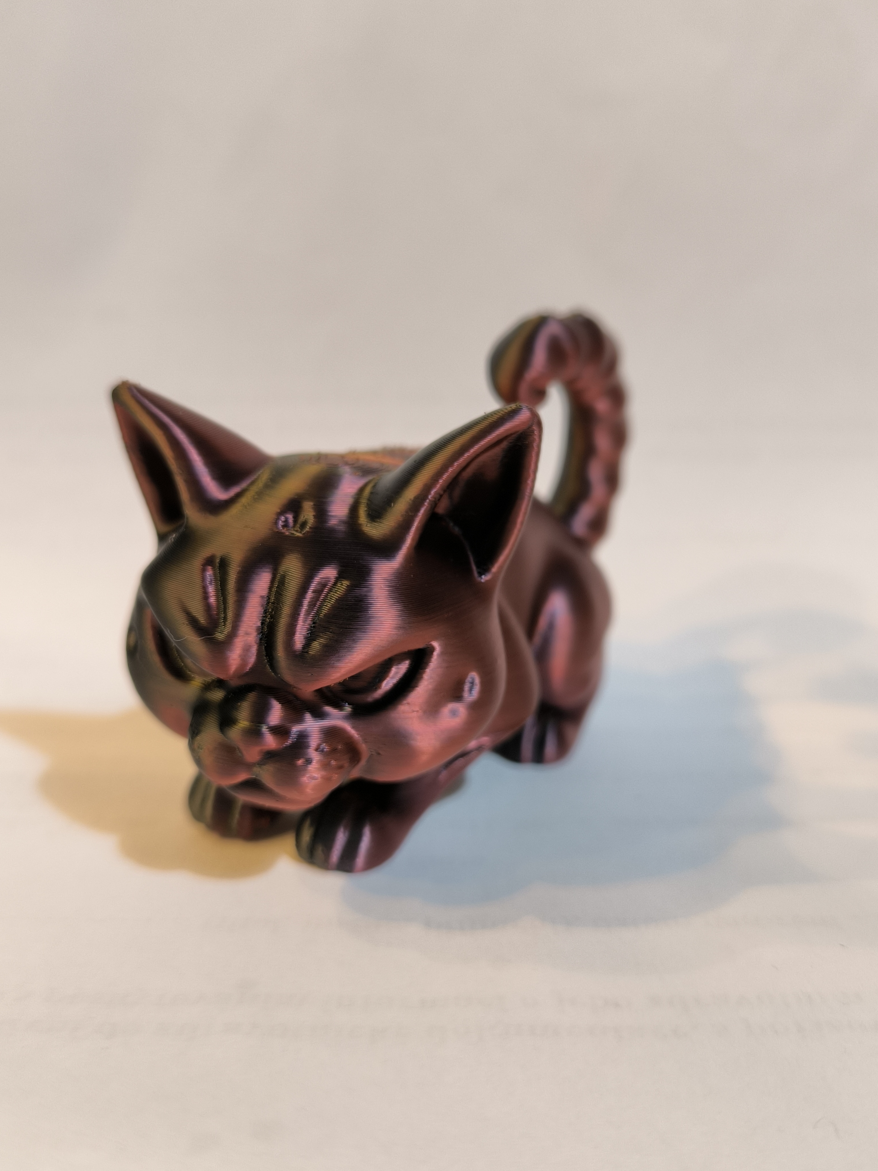 Miniatura 5 do modelo 3D Angry Cat