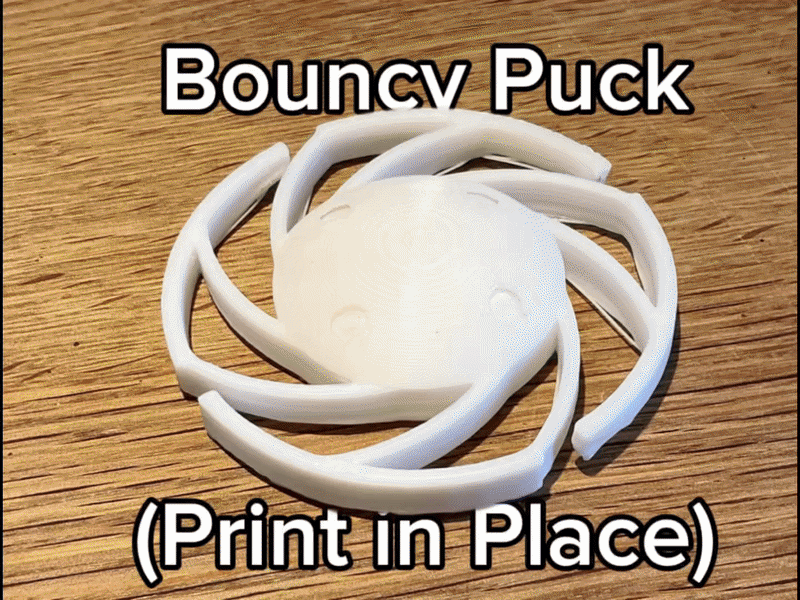 Bouncy Puck (Print In Place)