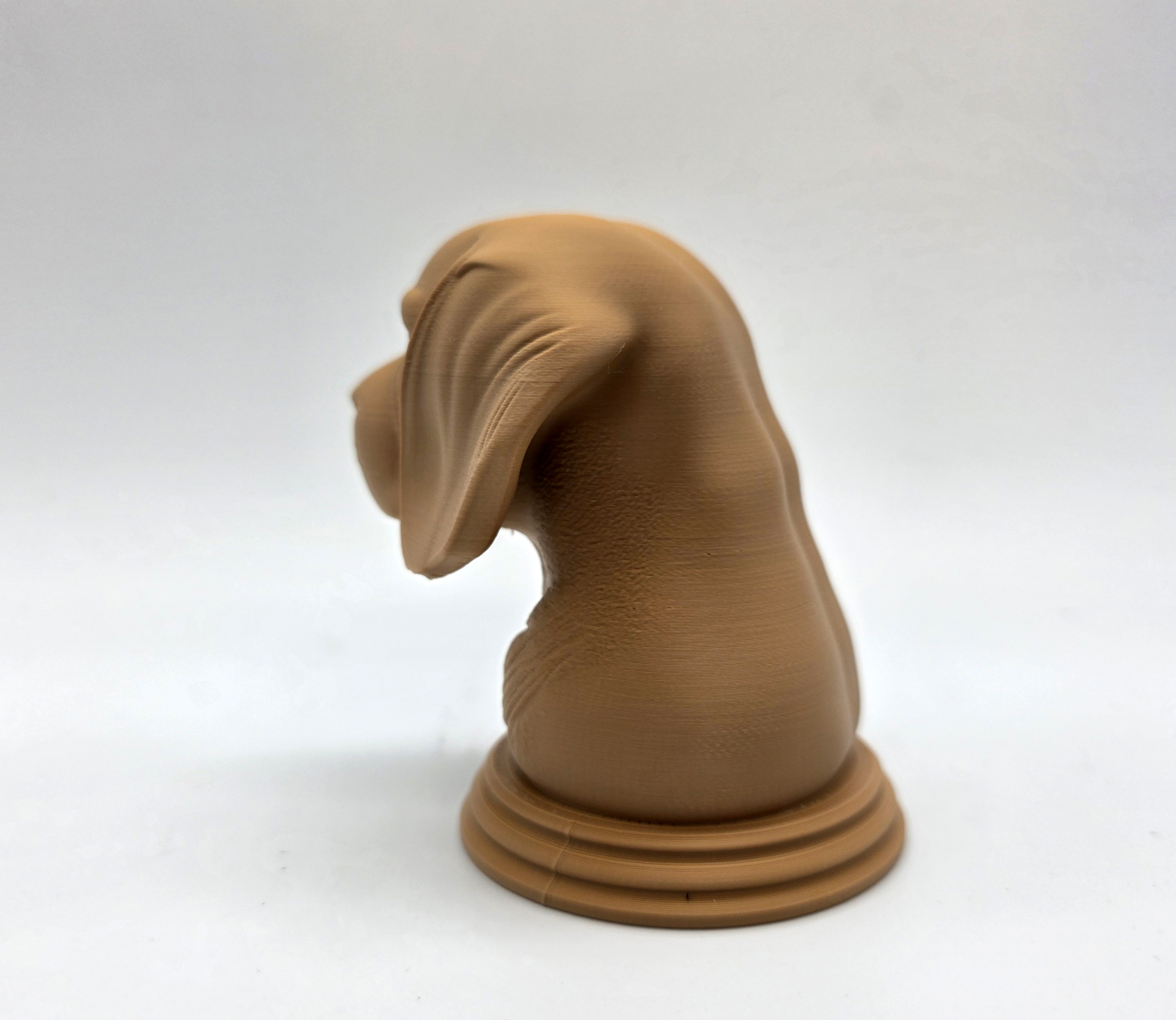 Miniatura 8 do modelo 3D Beagle Bust