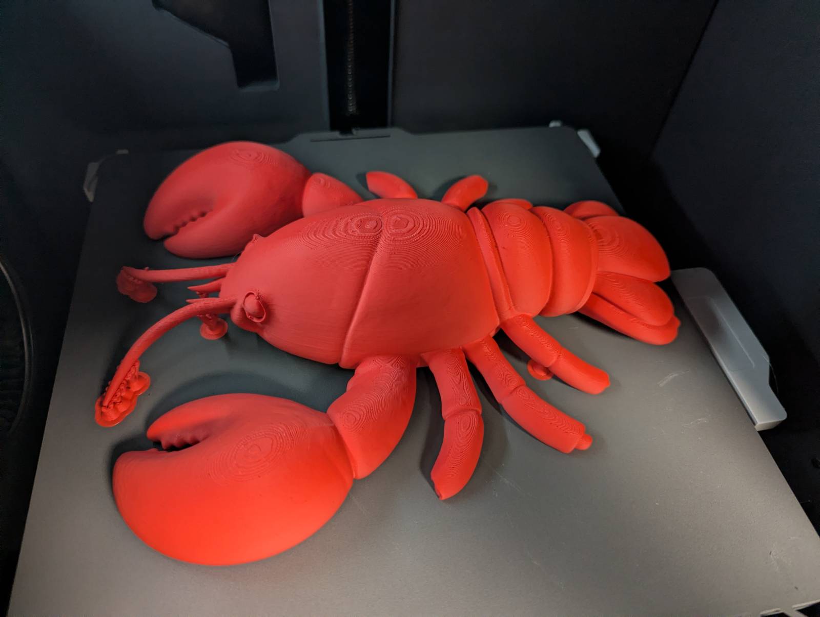 OpenClaw Lobster — miniatura 4