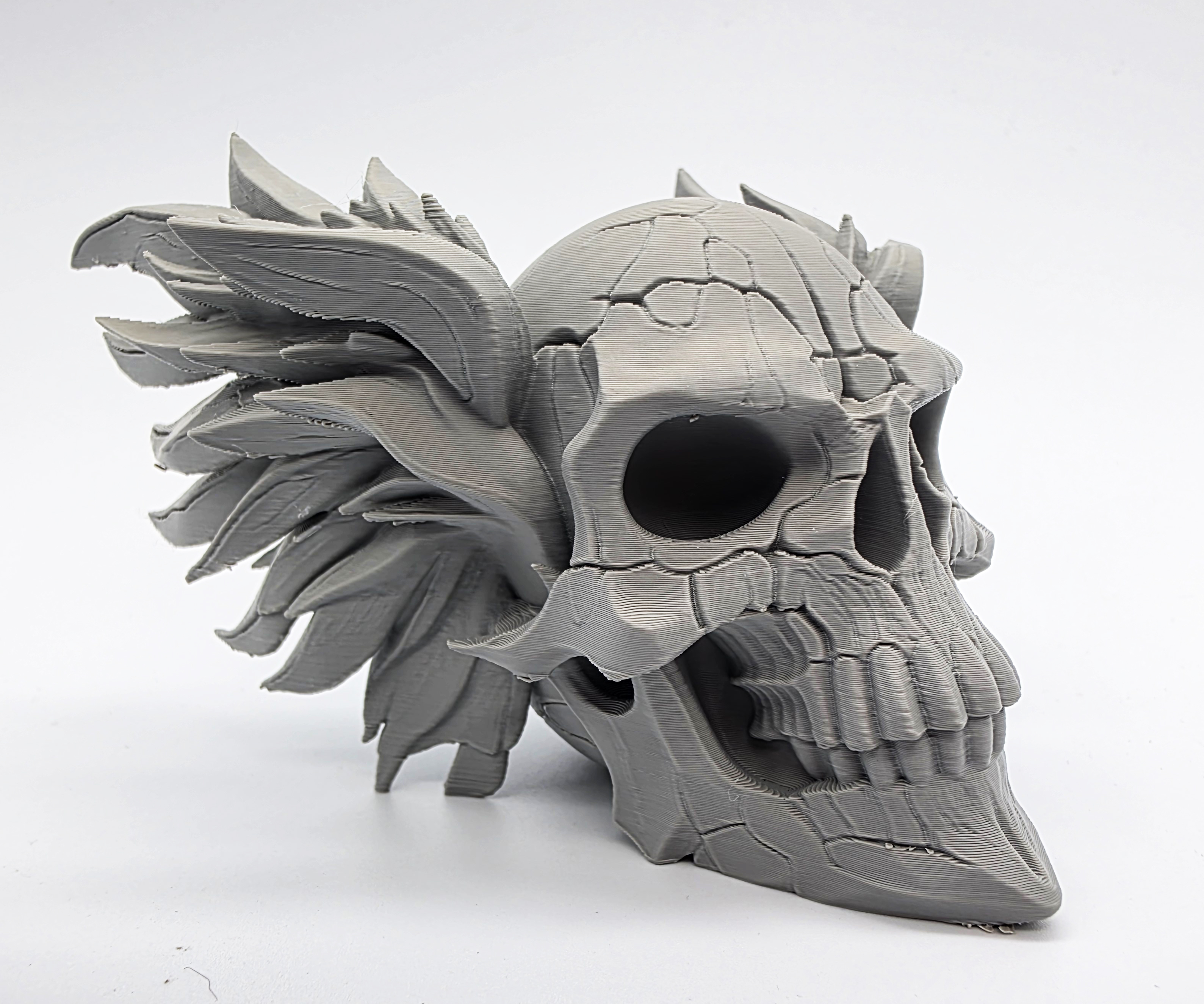 Cracked Winged Skull
