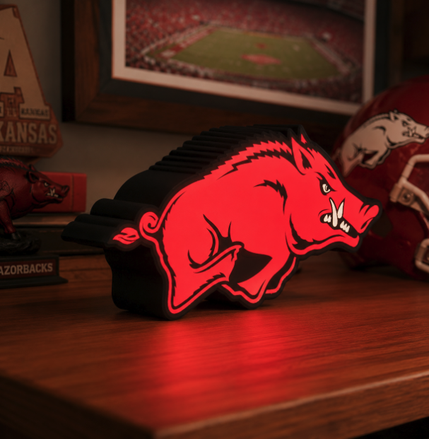 University of Arkansas LED Lightbox | Multicolor 3D Printable 3MF