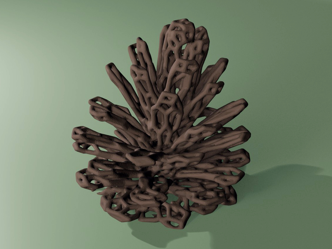Pine Cone Voronoi