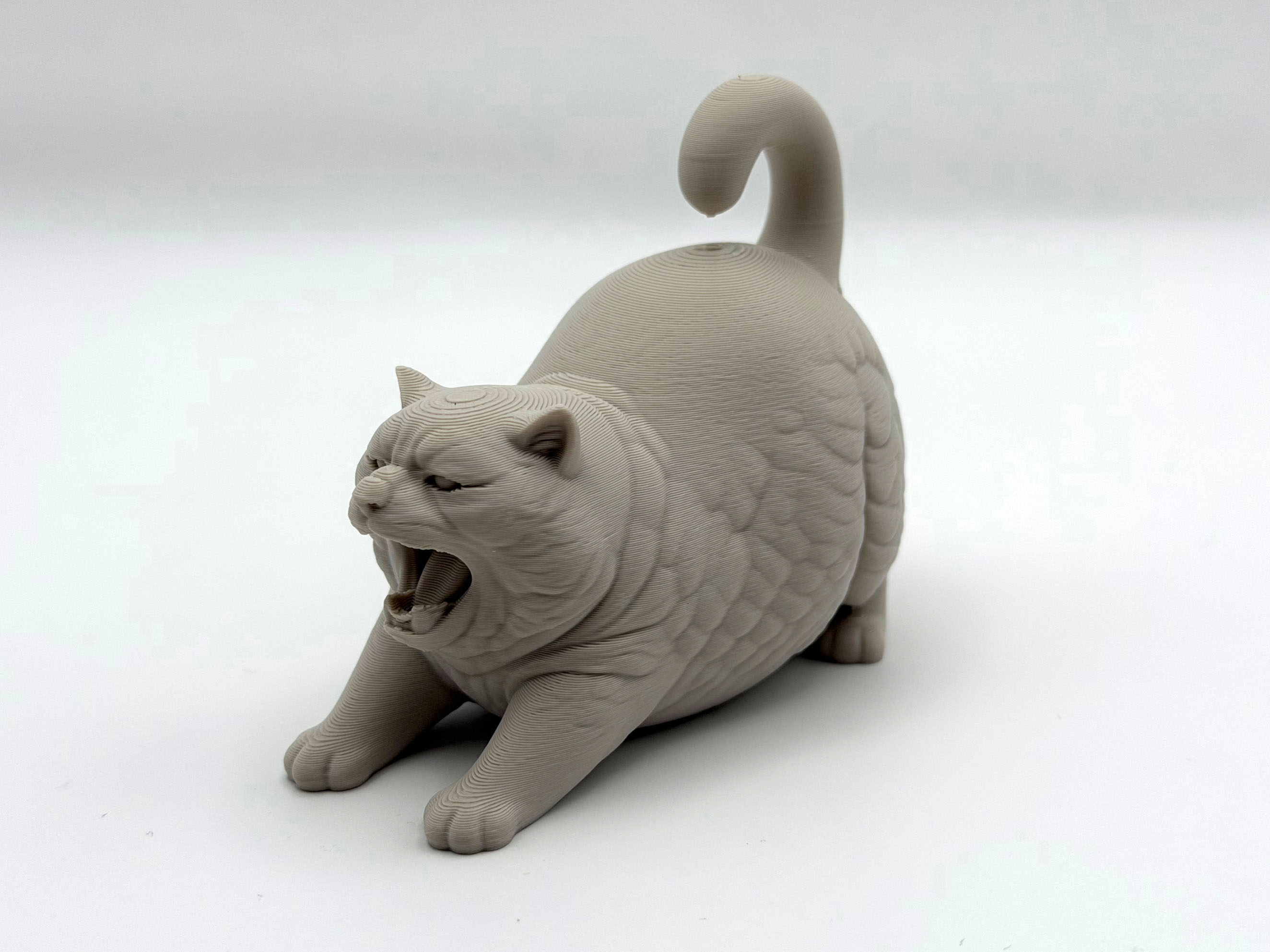 Chonky Kitten — miniatura 4
