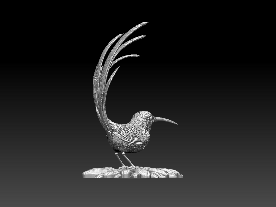 hummingbird — miniatura 7
