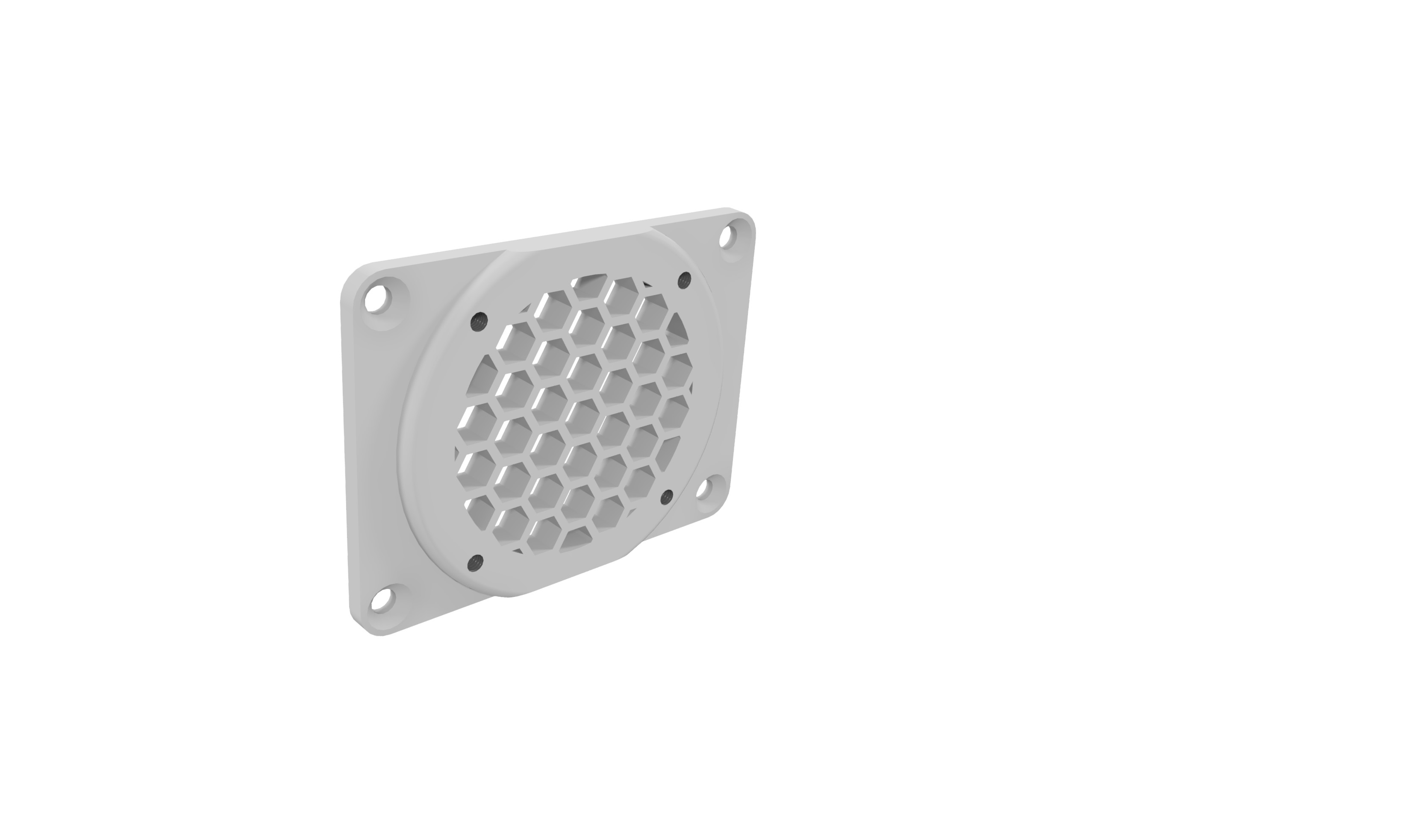 40mm Fan Grill and Mount