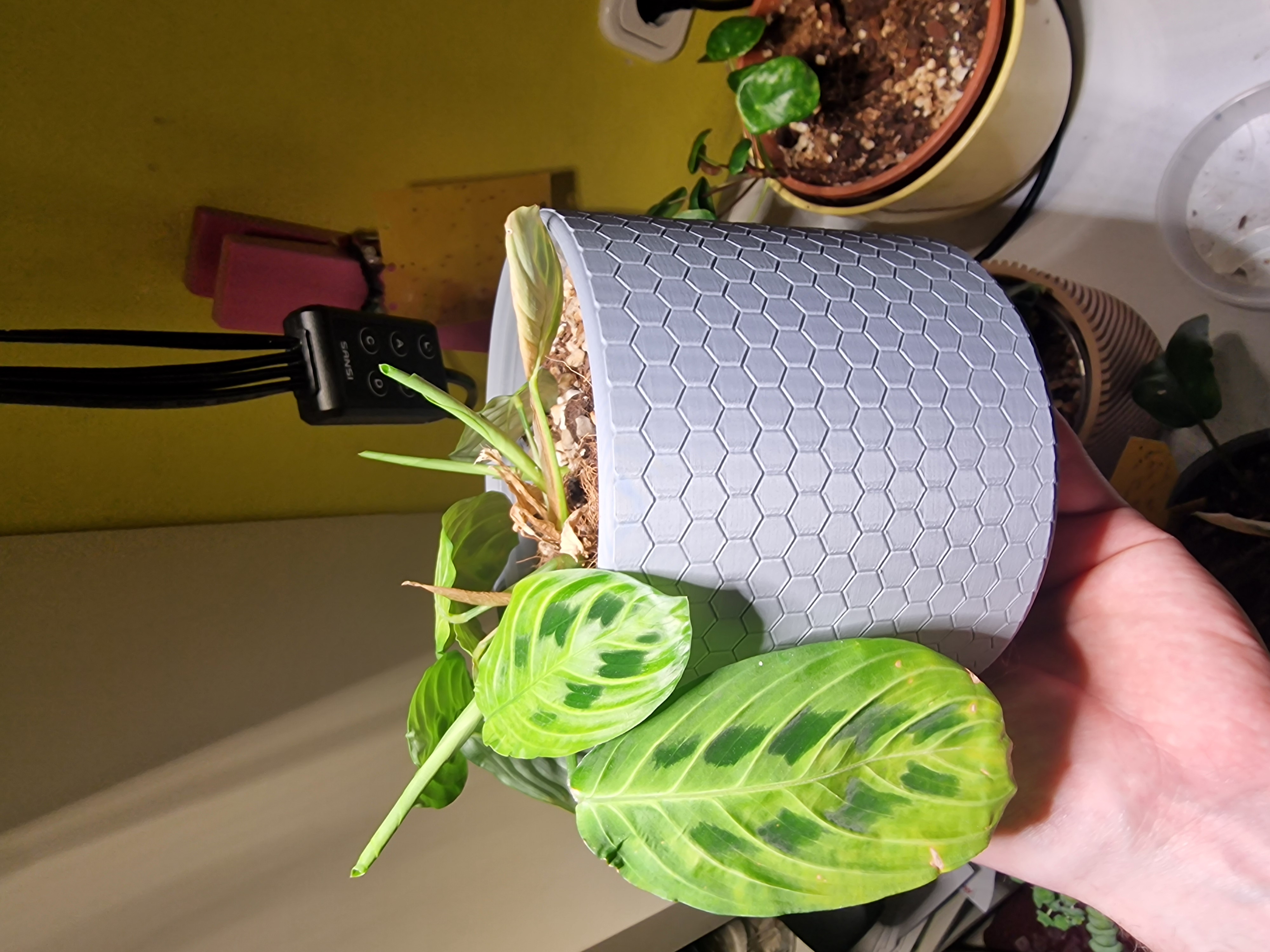 Hexagonal Planter