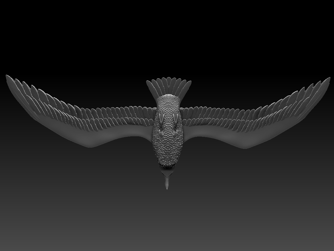seagull — miniatura 6