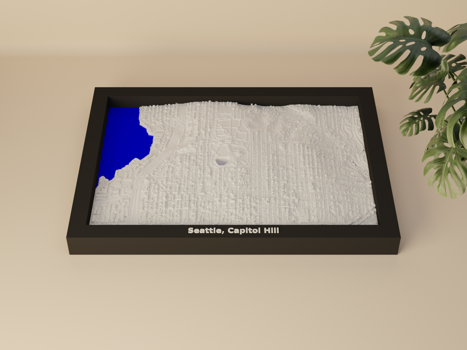 Seattle, Capitol Hill, United States - 3D Miniature
