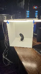 Display Photo Box