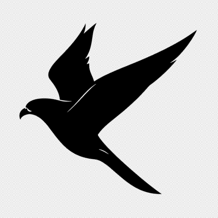 Bird decoration 2d