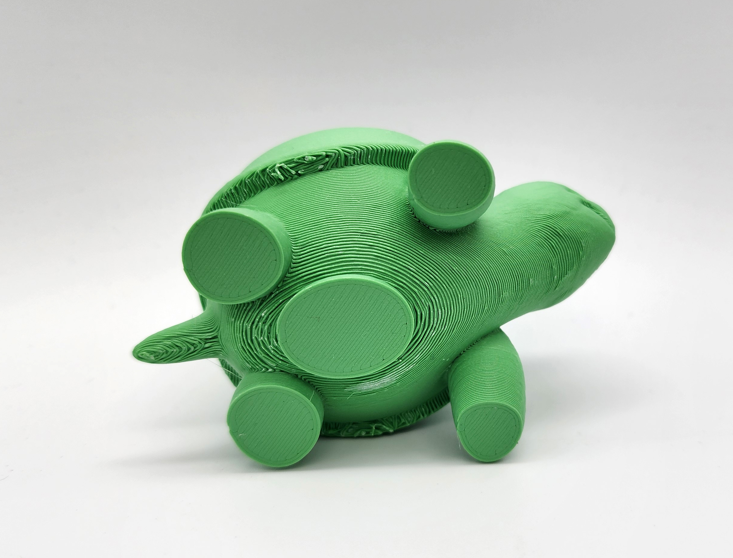 Miniatura 5 do modelo 3D Rounded Turtle Succulent Planter