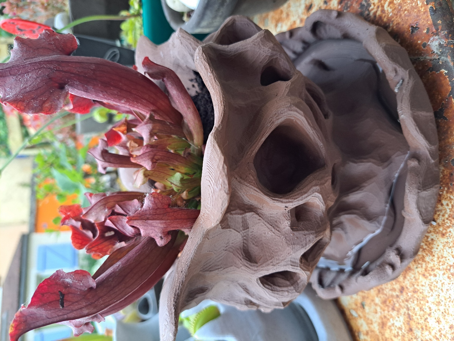 Pot alien pour plante alien