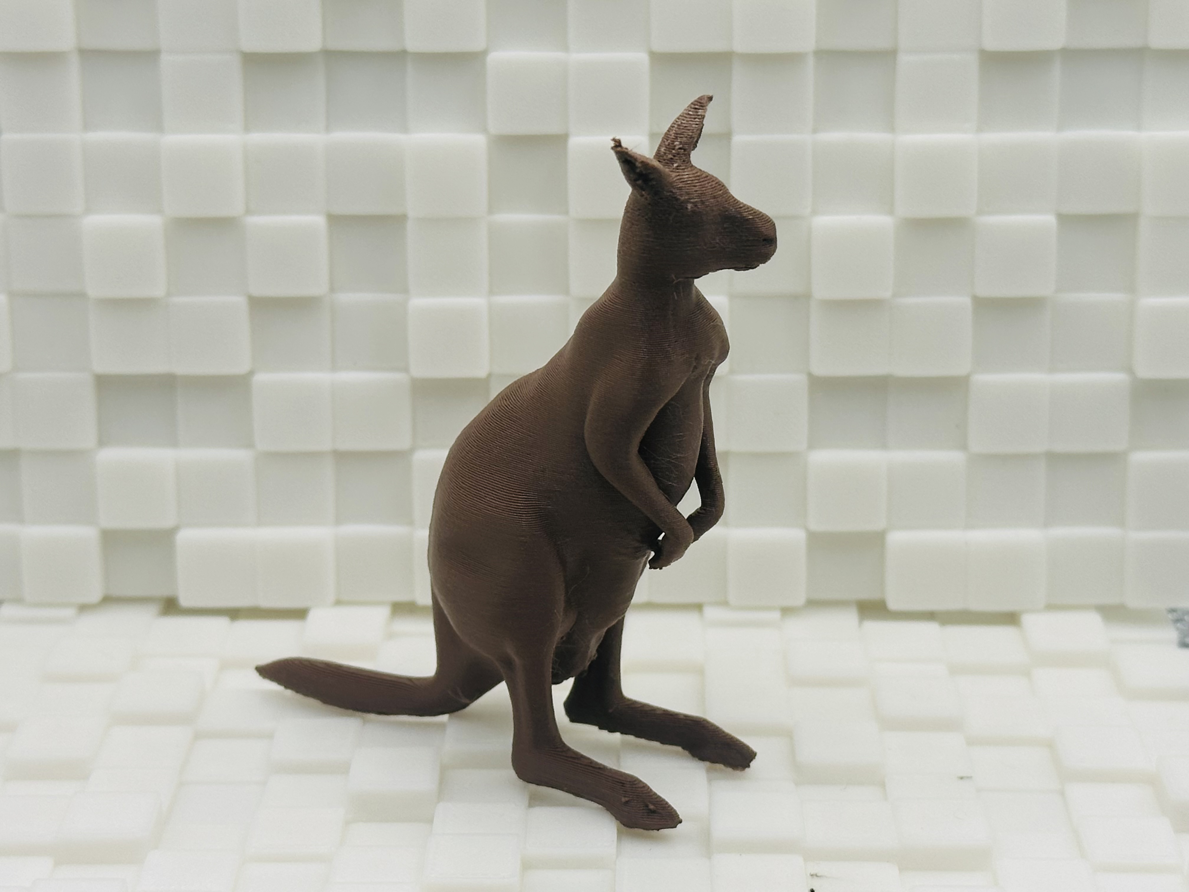 Kangaroo