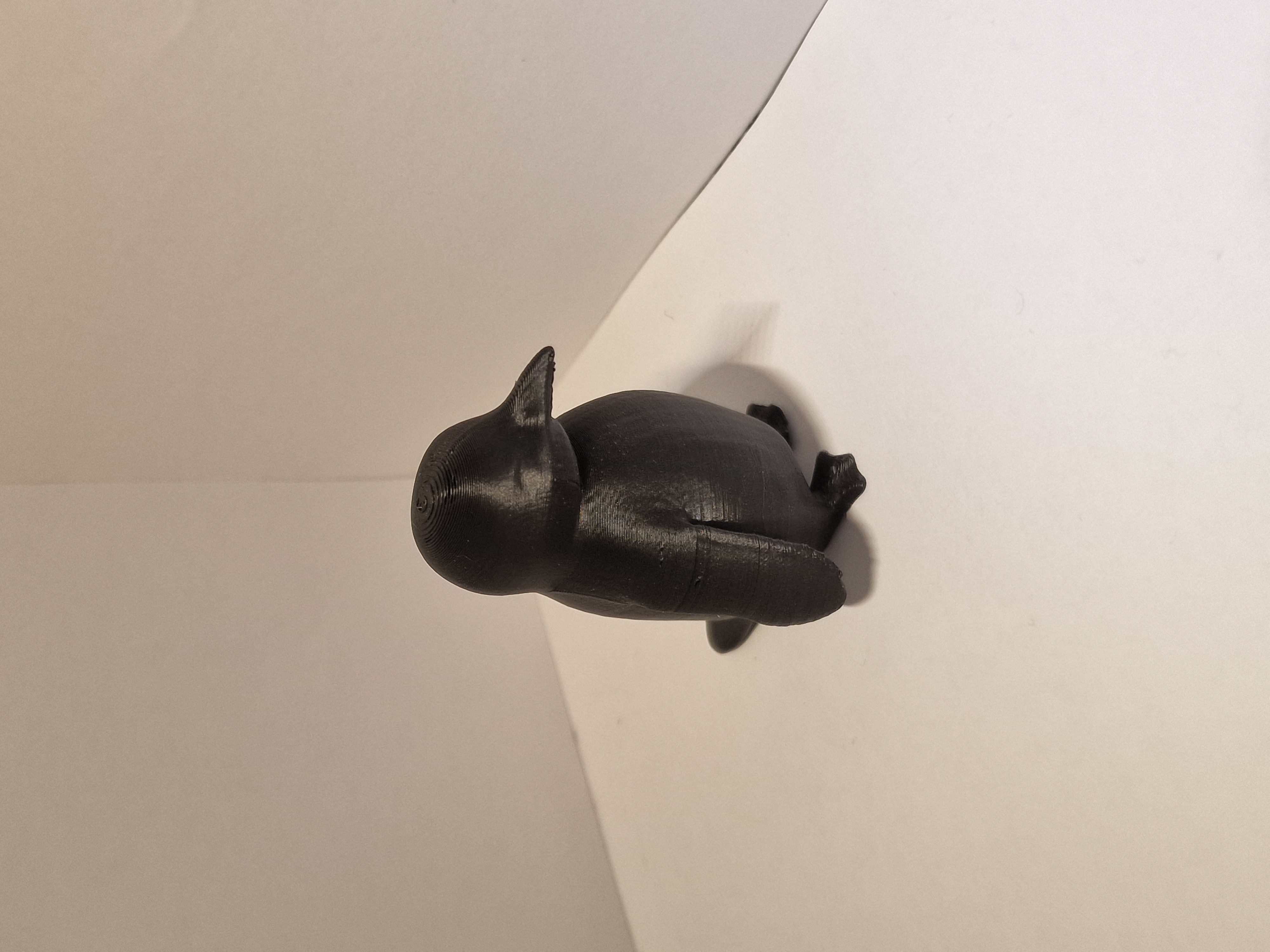 But why? Penguin — thumbnail 2