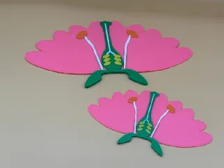 Parts of a flower