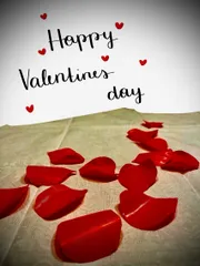 Romantic Rose Petals