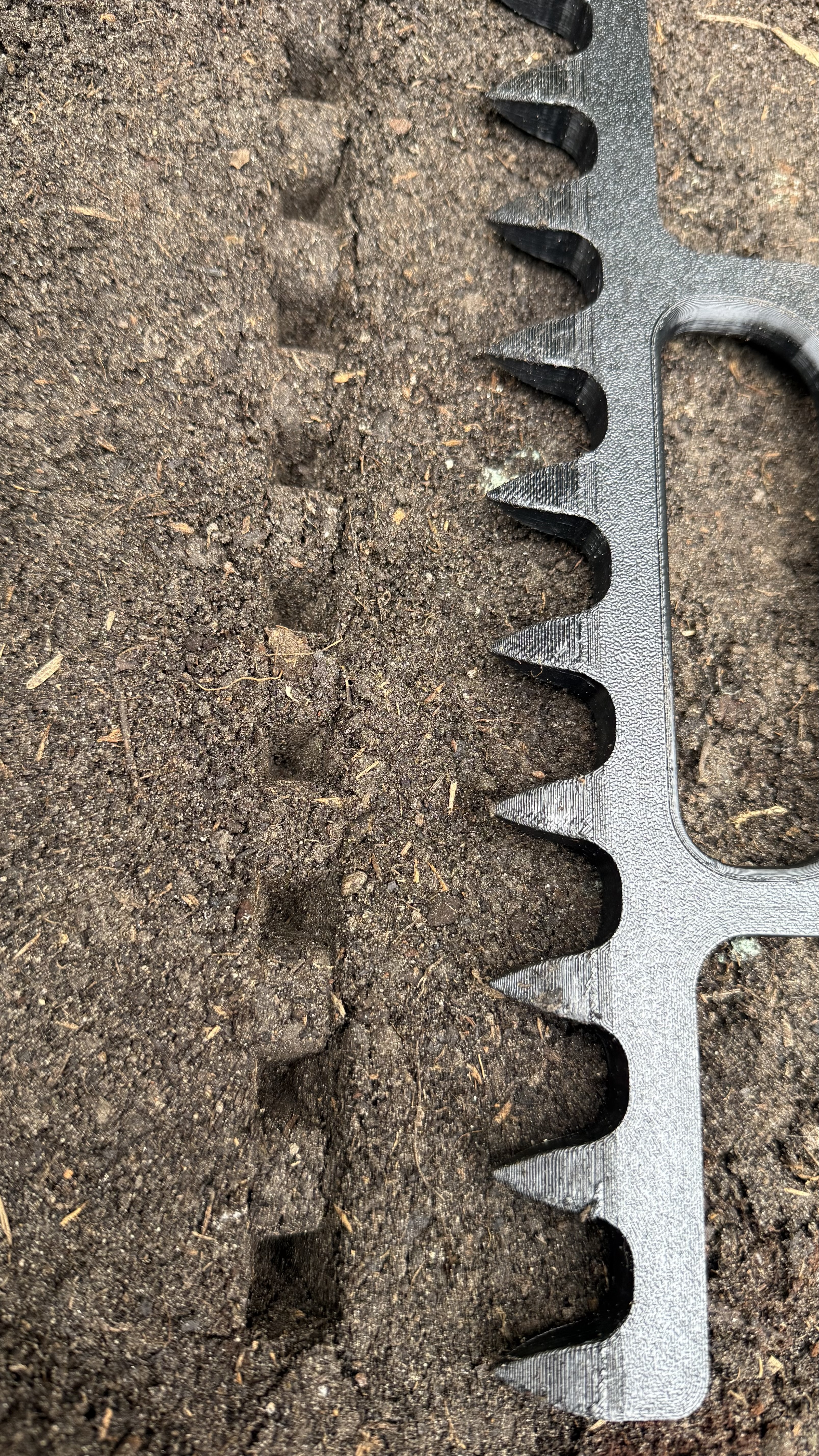 Seed ruler 3CM
