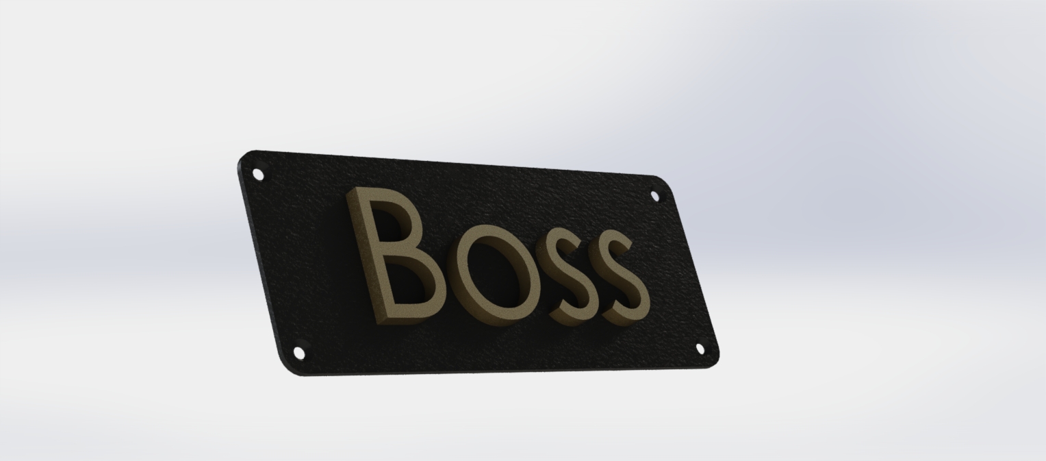 Boss 3D  plate on door or wall