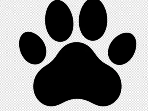 Paw decoration 2d